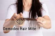 Demodex Hair Mite Infestation On Humans | Ungex
