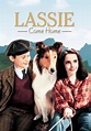 Lassie 1994 Wallpapers - Wallpaper Cave