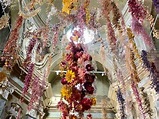 Florilegium a Parma: l'installazione floreale di Rebecca Louise Law