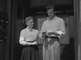 Le memorie di un Don Giovanni - Love Nest (1951) | Memorie, Hollywood