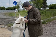 Muchacho con un perro imagen de archivo. Imagen de perro - 123238045