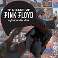 A Foot in the Door: The Best of Pink Floyd | CD Album | Free shipping ...