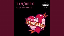 Seek Bromance (Avicii Vocal Extended) - YouTube