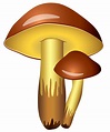 Free Mushroom Transparent, Download Free Mushroom Transparent png ...