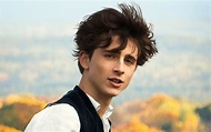 Timothee Chalamet Desktop Wallpapers - Wallpaper Cave