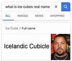 Ice Cubes real name - Meme Guy