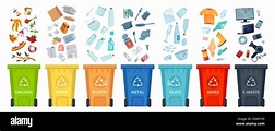 Segregación de residuos. Clasificación de la basura por material y tipo ...