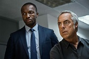 Διαφανής Βρώμικος οξύς bosch netflix λάθος Όρος Kilauea Βιολί