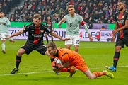 02.02.2019, BayArena, Leverkusen, GER, 1. FBL, Bayer 04 Leverkusen vs ...