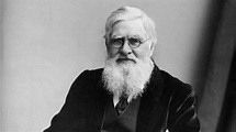 Alfred Wallace: el científico que descubrió la evolución (además de ...