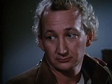 Robert Englund 1984