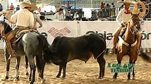 Informe A Galope Tendido Día 1 del Nacional Charro 2016 - YouTube