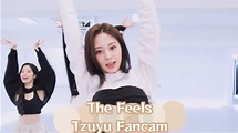 [TWICE Tzuyu] The Feels Tzuyu Fancam 👑 - YouTube