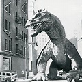 Panik in New York · Film 1953 · Trailer · Kritik
