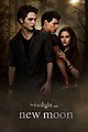 The Twilight Saga: New Moon (2009) - Posters — The Movie Database (TMDB)