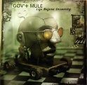 Gov't Mule - Life Before Insanity (2000, CD) | Discogs