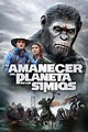 Ver El Amanecer Del Planeta De Los Simios online HD - Cuevana 2 Español