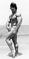 Mike Mentzer (American Bodybuilder) | Bodybuilding, Old bodybuilder ...