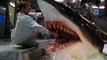 Top 10 Shark Movies | WatchMojo.com