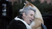Why Hachi A Dog's Tale is one of the best dog movies ever | Hachiko lives
