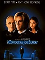 ¿Conoces a Joe Black? | SincroGuia TV