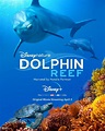 Delfines: La vida en el arrecife - Película 2018 - SensaCine.com