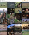 A Tale Of Africa (1980) Susumu Hani, Simon Trevor, Kathy, Philip Sayer ...