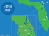 St. Johns River Fishing: The Complete Guide (2022)