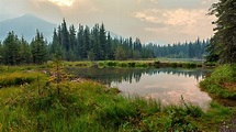 Fondos de Pantalla 3840x2160 Alaska Parque Lago Bosques Denali National ...