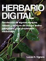 Herbario Digital | Botánica | Horticultura y jardinería