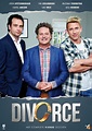 Divorce (TV Series 2012-2016) - Posters — The Movie Database (TMDb)