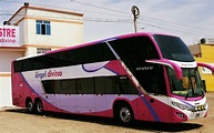 Angel Divino - Compra pasajes de bus al mejor precio | redBus Perú 🚌