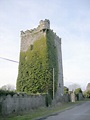 Williamstown Castle, BALLYNAGARDE, LIMERICK - Buildings of Ireland
