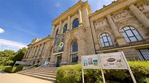 Visit Lower Saxony State Museum in Südstadt-Bult | Expedia