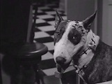 Frankenweenie Movie - The 80s Movies Rewind