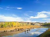 The Scenic Theodore Roosevelt National Park in North Dakota | The ...