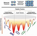 Schematic representation of (top) molecular tectonics to create 2D ...