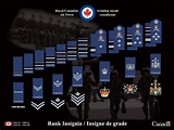 Here are the details on the RCAF’s new uniforms and ranks | Ottawa Citizen