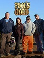 Fool's Gold - Where to Watch and Stream - TV Guide