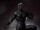 Black Panther, Black Panther, Concept art, 5K HD wallpaper | Wallpaper ...