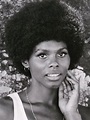 Gloria Hendry 1970s Black Hairstyles, Natural Afro Hairstyles, Natural ...