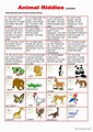 Animal riddles: English ESL worksheets pdf & doc