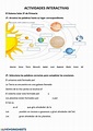 Actividad interactiva de El sistema Solar para 2º de Primaria. Puedes ...