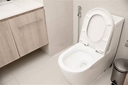座廁推介指南︱選擇座廁5大注意事項：馬桶暗藏清潔黑點、內壁設計都有講究