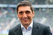 Tayfun Korkut wird neuer Trainer des VfB Stuttgart - 1. Bundesliga ...