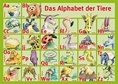 Das Alphabet der Tiere | Das Atelier | Alexa Binnewies