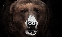 Avance y fecha de Cocaine Bear (Oso intoxicado), la película del oso ...