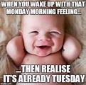 101 Funny Tuesday Memes When You're Happy You Survived a Workday