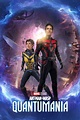 Ant-Man and the Wasp: Quantumania (2023) - Posters — The Movie Database ...