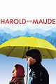 Harold and Maude (1971) - Posters — The Movie Database (TMDb)